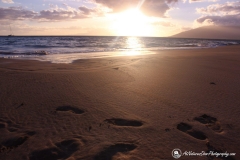 Foot Prints on the Hawaiian Sand
