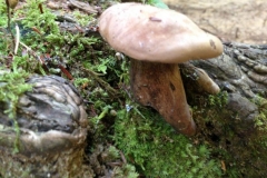 IMG_2035-e1515474845227