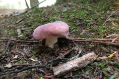 IMG_2074-1-e1515474887415